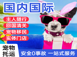 菏泽牡丹空运公司国际宠物托运 【国